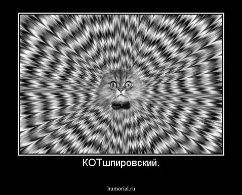 КОТшпировский.