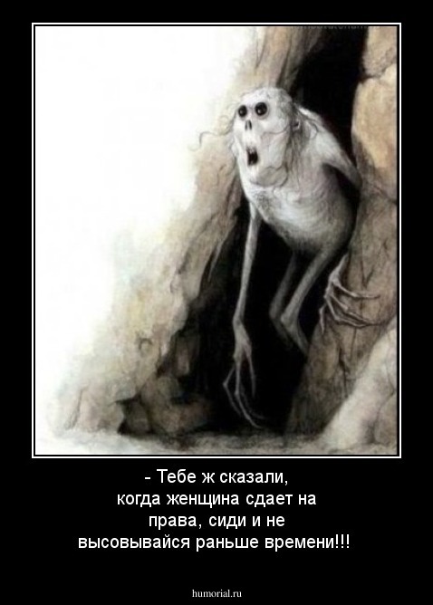  - Тебе ж сказали, когда женщина сдает на права, сиди и не высовывайся раньше времени!!!