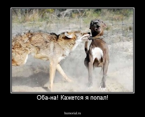 Оба-на! Кажется я попал!