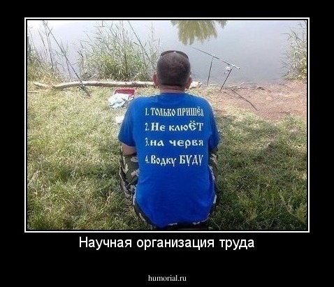 Научная организация труда