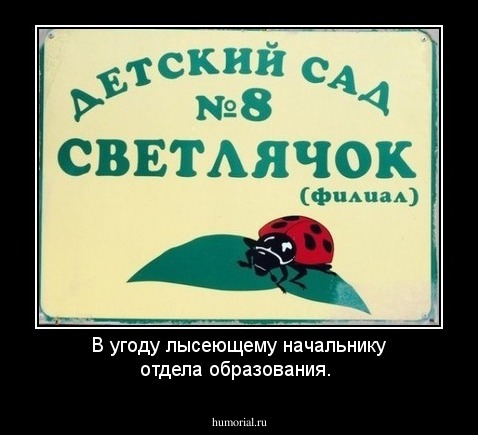 В угоду лысеющему начальнику отдела образования.