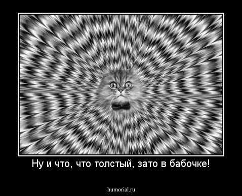 Ну и что, что толстый, зато в бабочке!