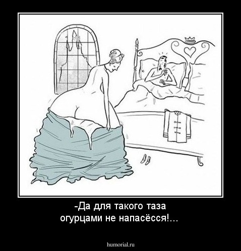 -Да для такого таза огурцами не напасёсся!...