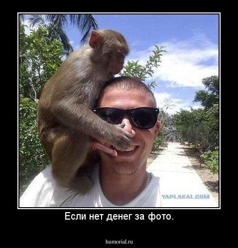 Если нет денег за фото.