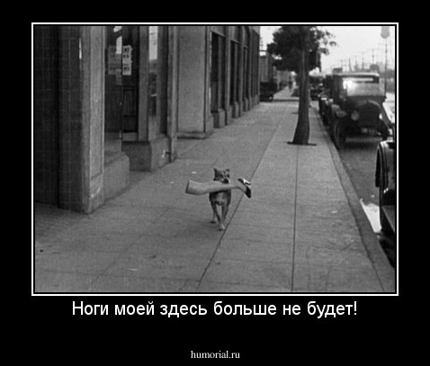 Ноги моей здесь больше не будет!