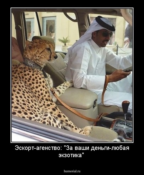 Эскорт-агенство: "За ваши деньги-любая экзотика"
