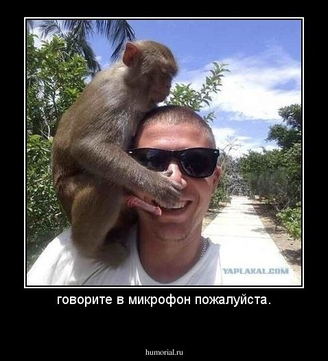 говорите в микрофон пожалуйста.
