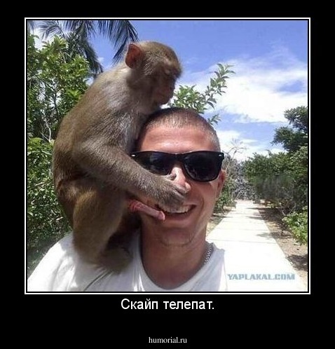 Скайп телепат.