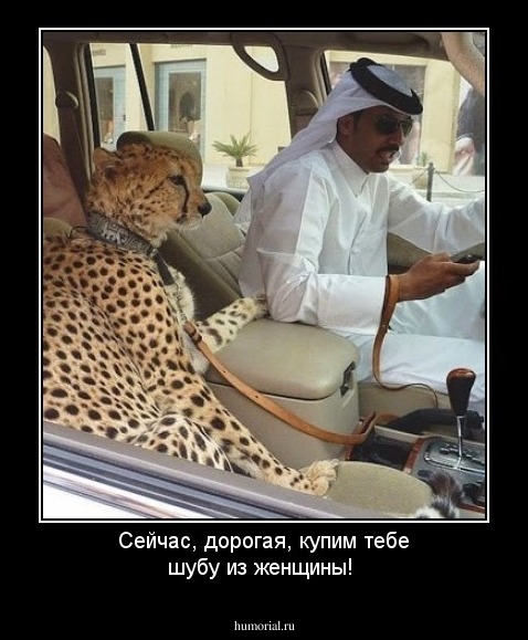 Сейчас, дорогая, купим тебе шубу из женщины!