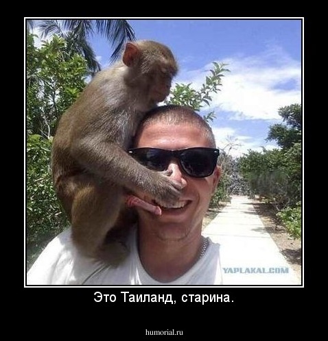 Это Таиланд, старина.