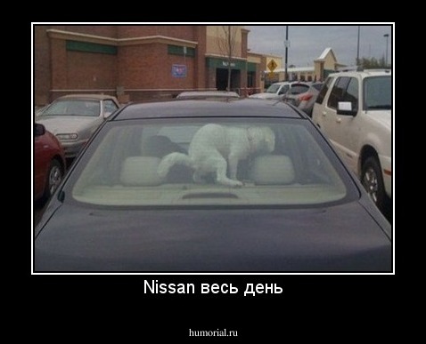 Nissan весь день