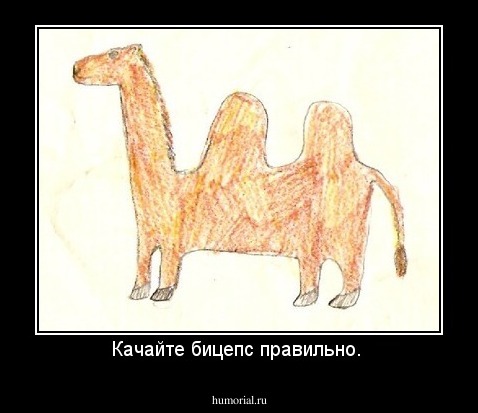 Качайте бицепс правильно. 