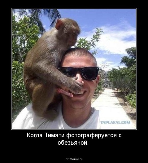 Когда Тимати фотографируется с обезьяной. 