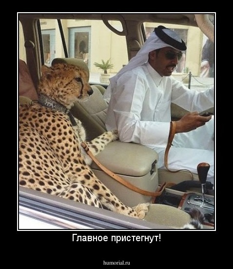 Главное пристегнут!