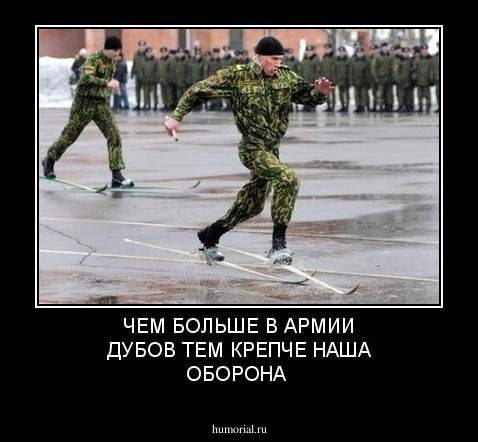 ЧЕМ БОЛЬШЕ В АРМИИ ДУБОВ ТЕМ КРЕПЧЕ НАША ОБОРОНА