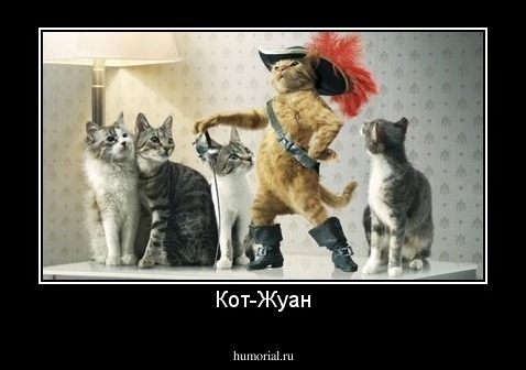 Кот-Жуан