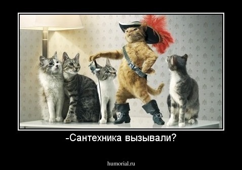 -Сантехника вызывали?