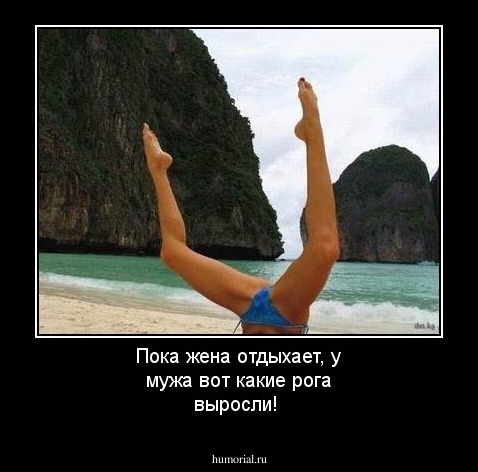Пока жена отдыхает, у мужа вот какие рога выросли!