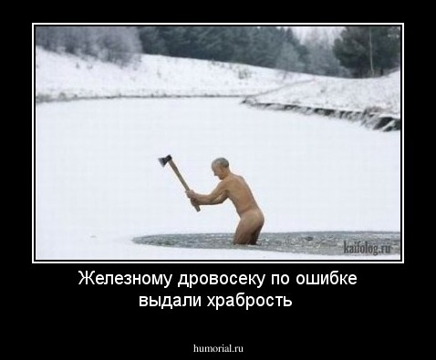 Железному дровосеку по ошибке выдали храбрость