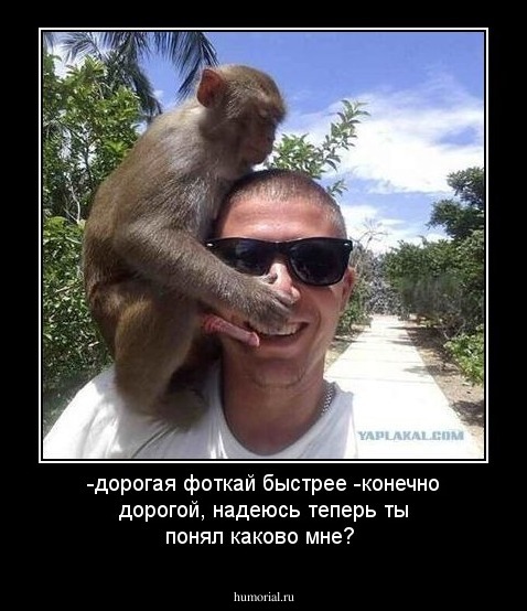 -дорогая фоткай быстрее
-конечно дорогой, надеюсь теперь ты понял каково мне?
