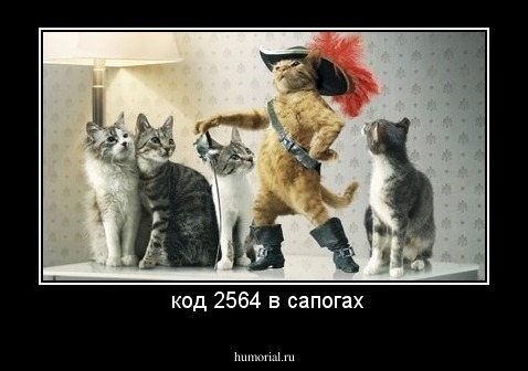  код 2564 в сапогах