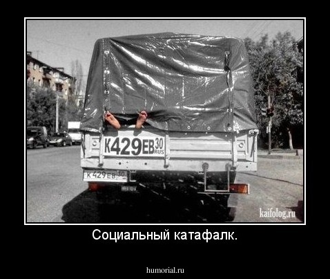 Социальный катафалк.