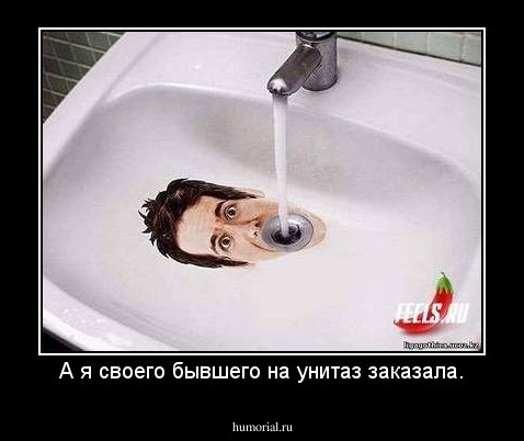 А я своего бывшего на унитаз заказала.
