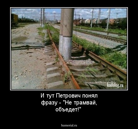 И тут Петрович понял фразу - "Не трамвай, объедет!"