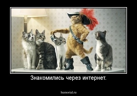 Знакомились через интернет.