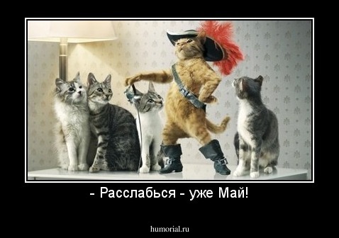 - Расслабься - уже Май!