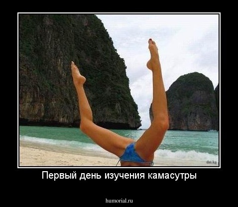 Первый день изучения камасутры