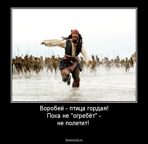Воробей - птица гордая! Пока не "огребёт" - не полетит!