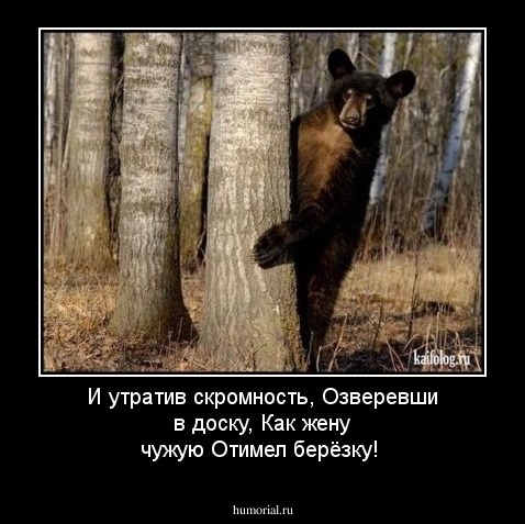 И утратив скромность,
Озверевши в доску,
Как жену чужую
Отимел берёзку! 