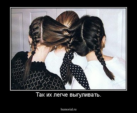 Так их легче выгуливать.