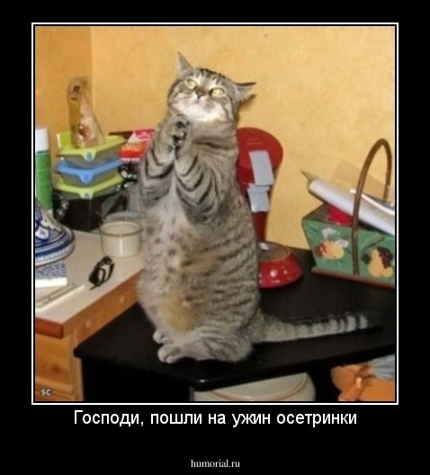 Господи, пошли на ужин осетринки