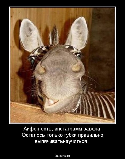 Айфон есть, инстаграмм завела. Осталось только губки правильно выпячиватьнаучиться.