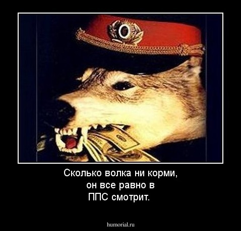 Сколько волка ни корми, он все равно в ППС смотрит.