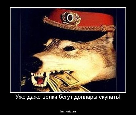 Уже даже волки бегут доллары скупать!