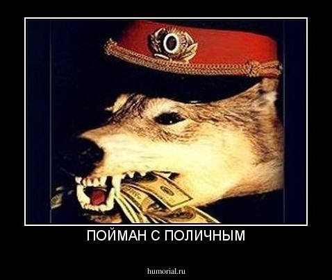 ПОЙМАН С ПОЛИЧНЫМ