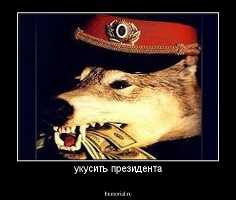 укусить президента