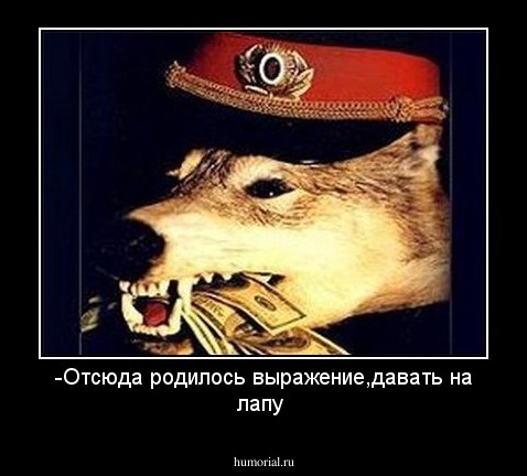 -Отсюда родилось выражение,давать на лапу
