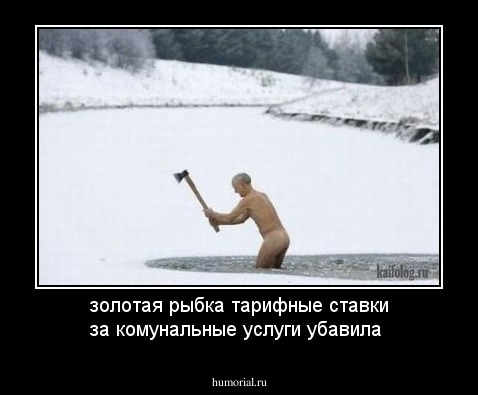 золотая рыбка тарифные ставки за комунальные услуги убавила 