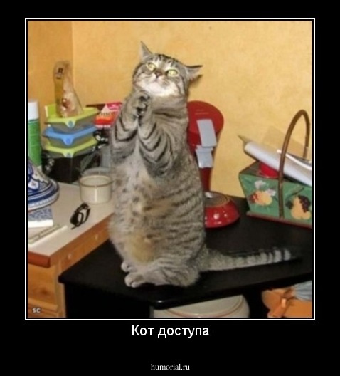 Кот доступа