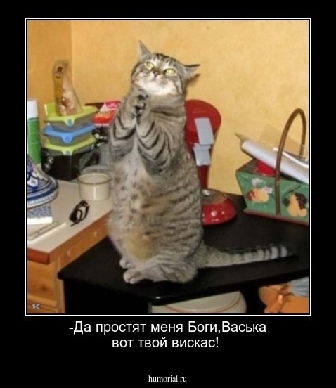 -Да простят меня Боги,Васька вот твой вискас!