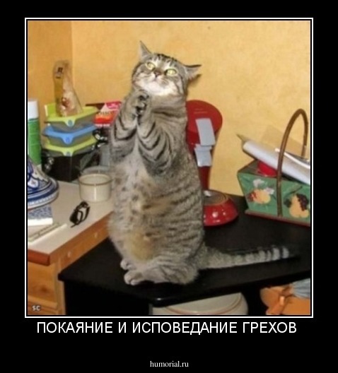 ПОКАЯНИЕ И ИСПОВЕДАНИЕ ГРЕХОВ 
