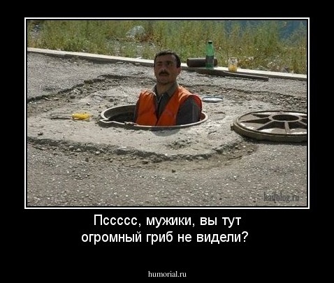 Пссссс, мужики, вы тут огромный гриб не видели?