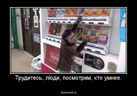 Трудитесь, люди, посмотрим, кто умнее.