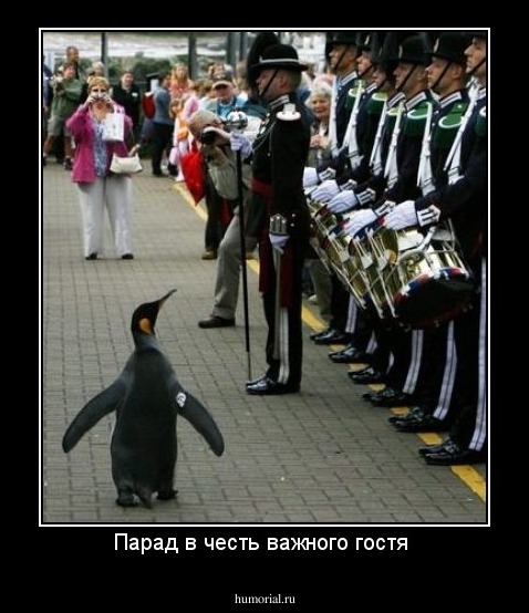 Парад в честь важного гостя 