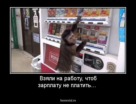 Взяли на работу, чтоб зарплату не платить...