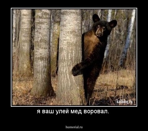 я ваш улей мед воровал. 